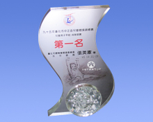 紀念獎牌